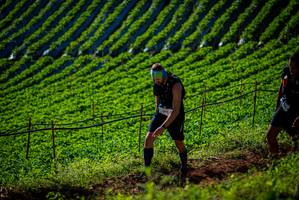 BIB: 
                            <button type="button" onclick="openModal(19160698)" class="btn btn-primary btn-sm float-right btn-popup" data-toggle="modal" data-target=".modal-high-quality">
                        <i class="fas fa-shopping-cart"></i> Add to Cart
                    </button>
                                            <button type="button" onclick="isThisMe(19160698, true)" class="btn btn-success btn-sm float-right btn-popup btn-isme hidden" data-toggle="tooltip" data-placement="bottom" title="นี่คือรูปของคุณใช่ไหม คลิกที่นี่เพื่อเอาเข้าอัลบั้ม">
                        <i class="fas fa-plus"></i> Add to album
                    </button>
                    <button type="button" onclick="isThisMe(19160698, false)" class="btn btn-warning btn-sm float-right btn-popup btn-isnotme hidden">
                        <i class="fas fa-ban"></i> Remove from album
                    </button>